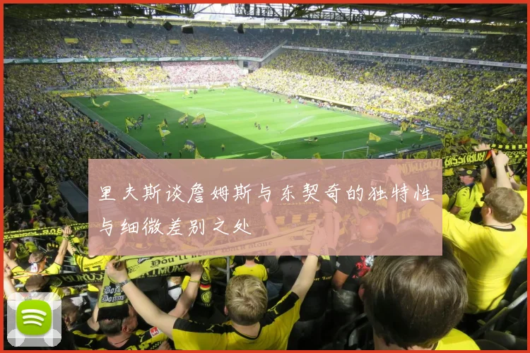 里夫斯谈詹姆斯与东契奇的独特性与细微差别之处