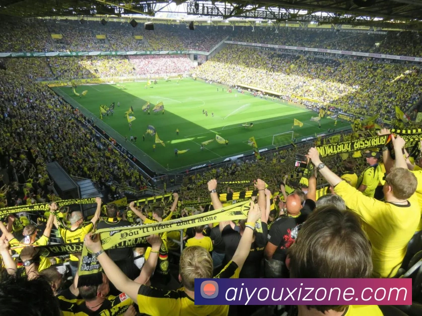 爱游戏APP 封面图