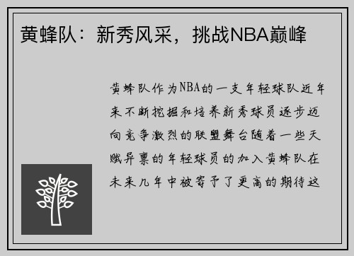 黄蜂队：新秀风采，挑战NBA巅峰