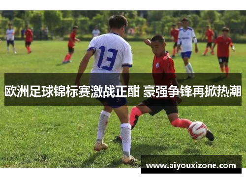 欧洲足球锦标赛激战正酣 豪强争锋再掀热潮