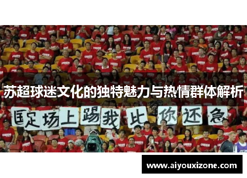苏超球迷文化的独特魅力与热情群体解析