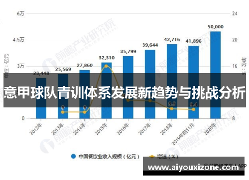 意甲球队青训体系发展新趋势与挑战分析