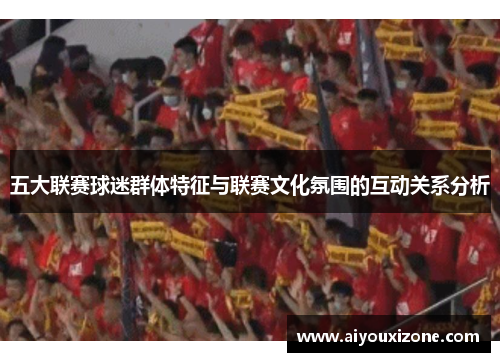 五大联赛球迷群体特征与联赛文化氛围的互动关系分析